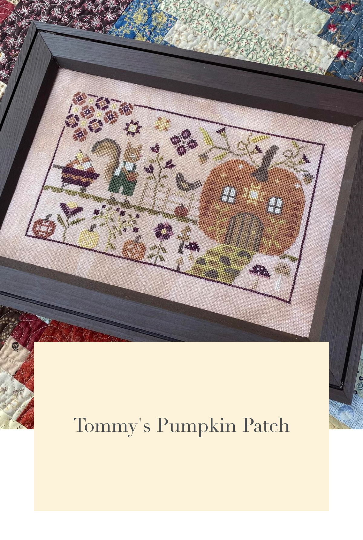 Tommy' Pumpkin Patch