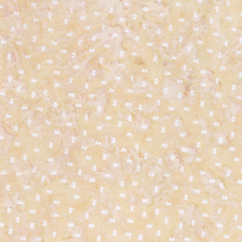 NY Small Sand Dollar