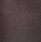 18th Century Blackbird