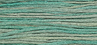 Blue Fescue