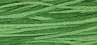 Monkey Grass