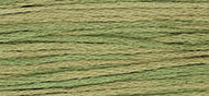 Kudzu