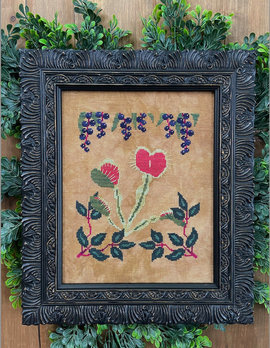 Botanical Study No 2 Venus Fly Trap