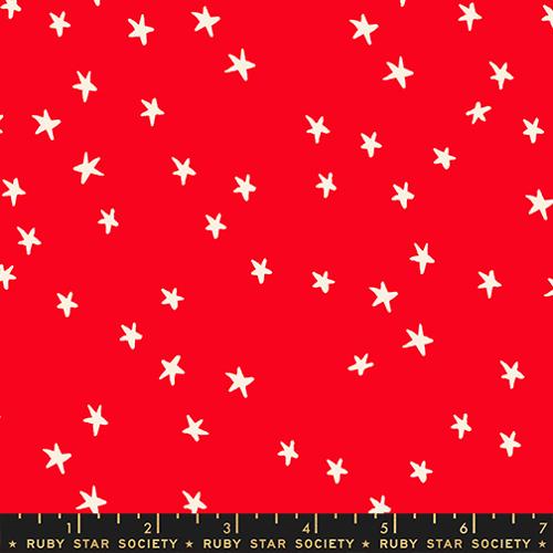 Starry Ladybug