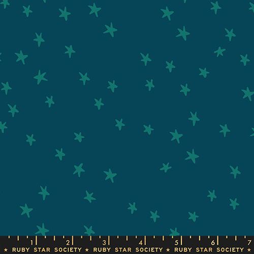 Starry Galaxy