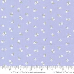 Pastel Prairie Mist 31785 22