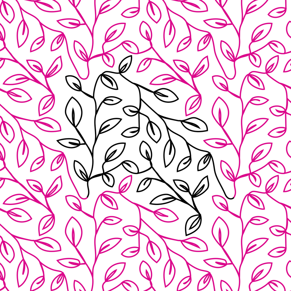 Beech Leaves