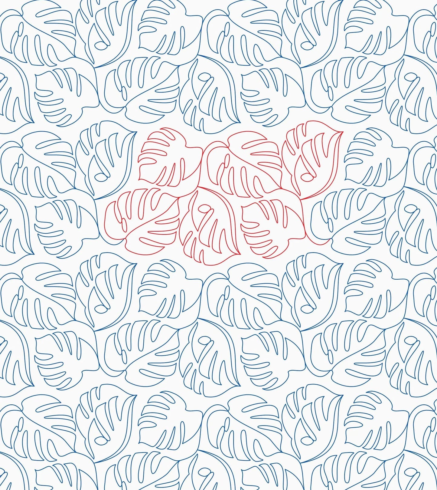 Monstera 2