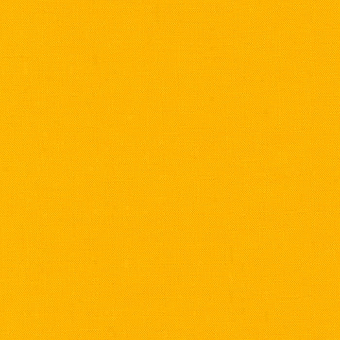 Sunny
