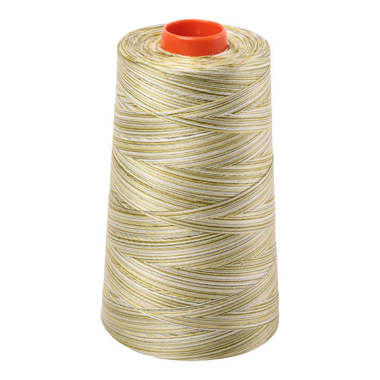 Aurifil 50wt cotton thread cone in Variegated Spring Prairie 4653
