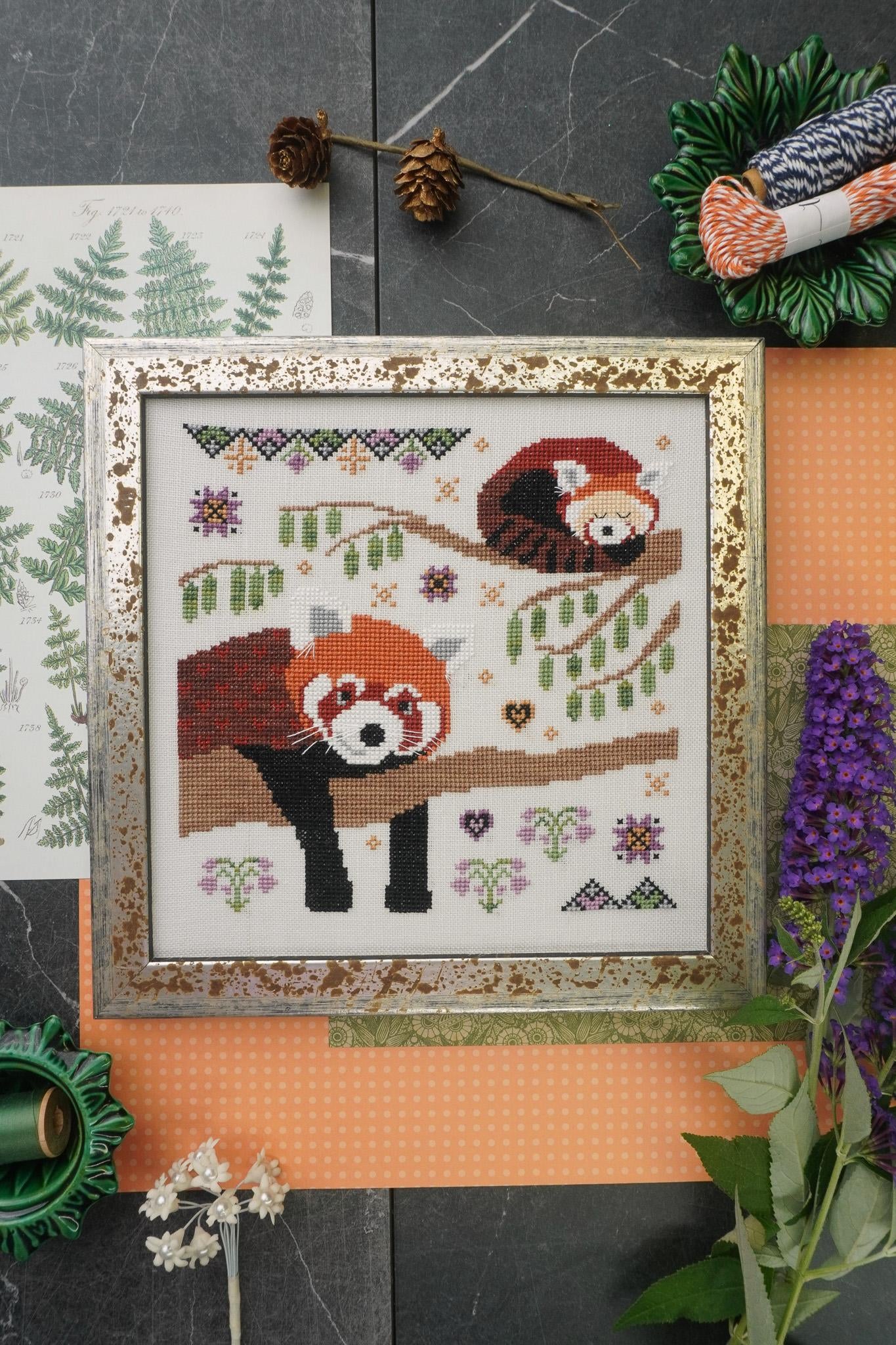 Red Panda