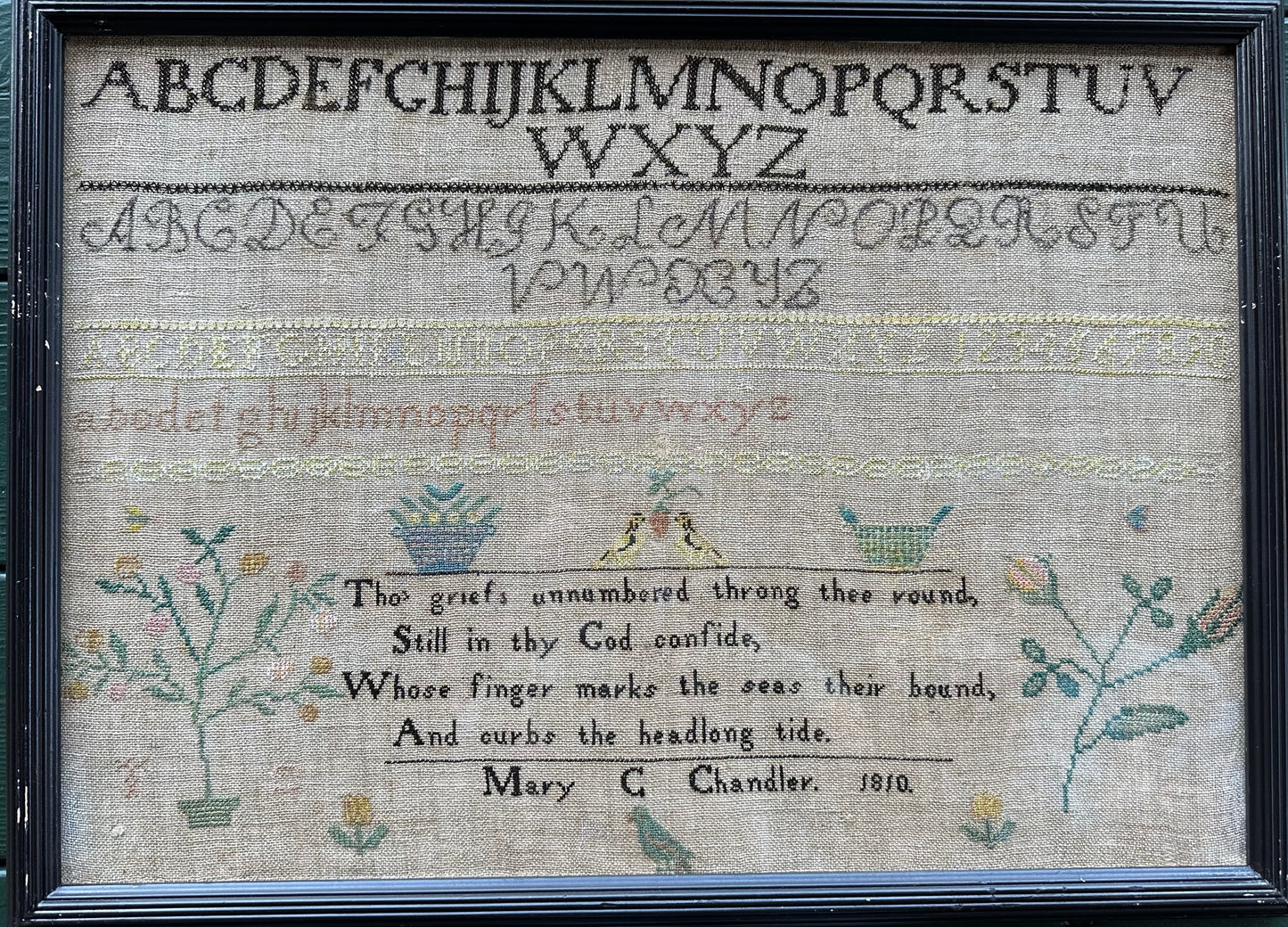 Chandler Sisters Samplers