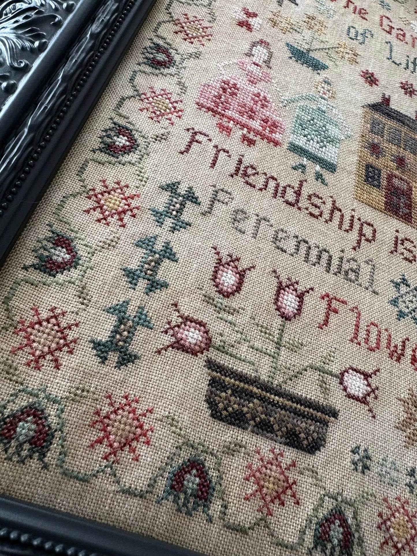 Perennial Flower Sampler