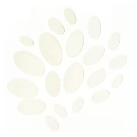 Karen Kay Buckley's Perfect Ovals