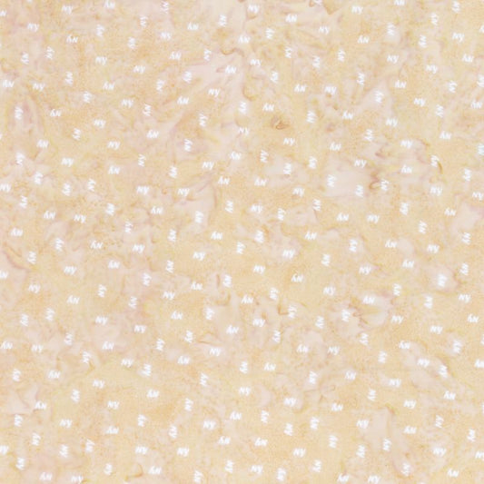 NY Small Sand Dollar