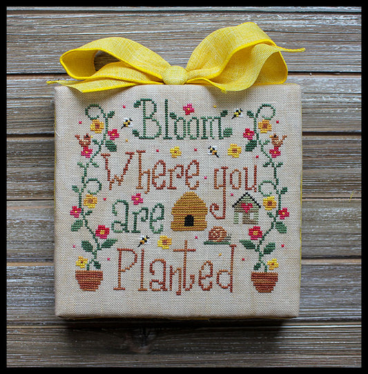 Bloom Where You are Planted