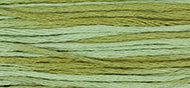 Dried Sage