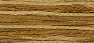 Palomino
