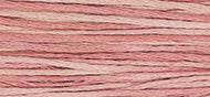 Charlotte's Pink