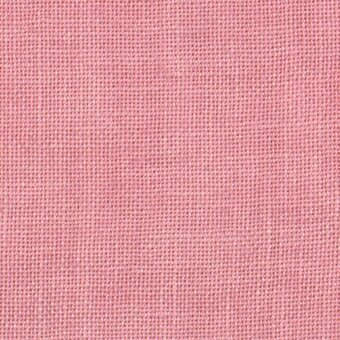 Charlotte's Pink