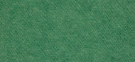 Cactus Wool Felt