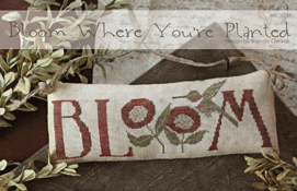 Bloom Where You're Planted