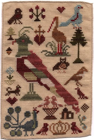 Barb's Birds