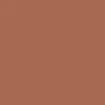 Field Mouse